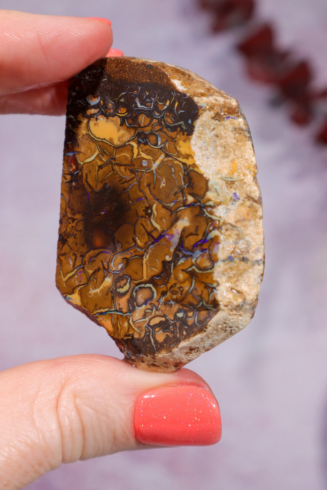 Yowah Boulder Opal Rough 26gr Rocks & Fossils Tali & Loz Crystals