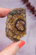 Yowah Boulder Opal Rough 26gr Rocks & Fossils Tali & Loz Crystals