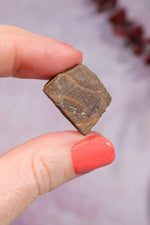 Yowah Boulder Opal Rough 4.40gr Rocks & Fossils Tali & Loz Crystals