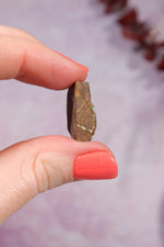 Yowah Boulder Opal Rough 4.40gr Rocks & Fossils Tali & Loz Crystals