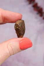 Yowah Boulder Opal Rough 4.40gr Rocks & Fossils Tali & Loz Crystals