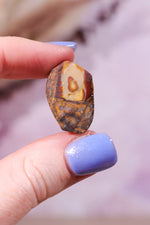 Yowah Boulder Opal Rough 5.06gr - Tali & Loz Crystals