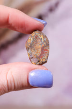 Yowah Boulder Opal Rough 5.06gr - Tali & Loz Crystals