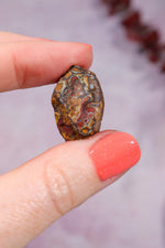 Yowah Boulder Opal Rough 5gr Rocks & Fossils Tali & Loz Crystals