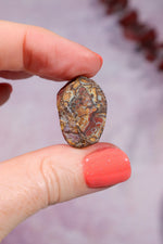 Yowah Boulder Opal Rough 5gr Rocks & Fossils Tali & Loz Crystals