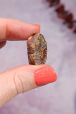 Yowah Boulder Opal Rough 5gr Rocks & Fossils Tali & Loz Crystals