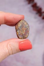 Yowah Boulder Opal Rough 5gr Rocks & Fossils Tali & Loz Crystals