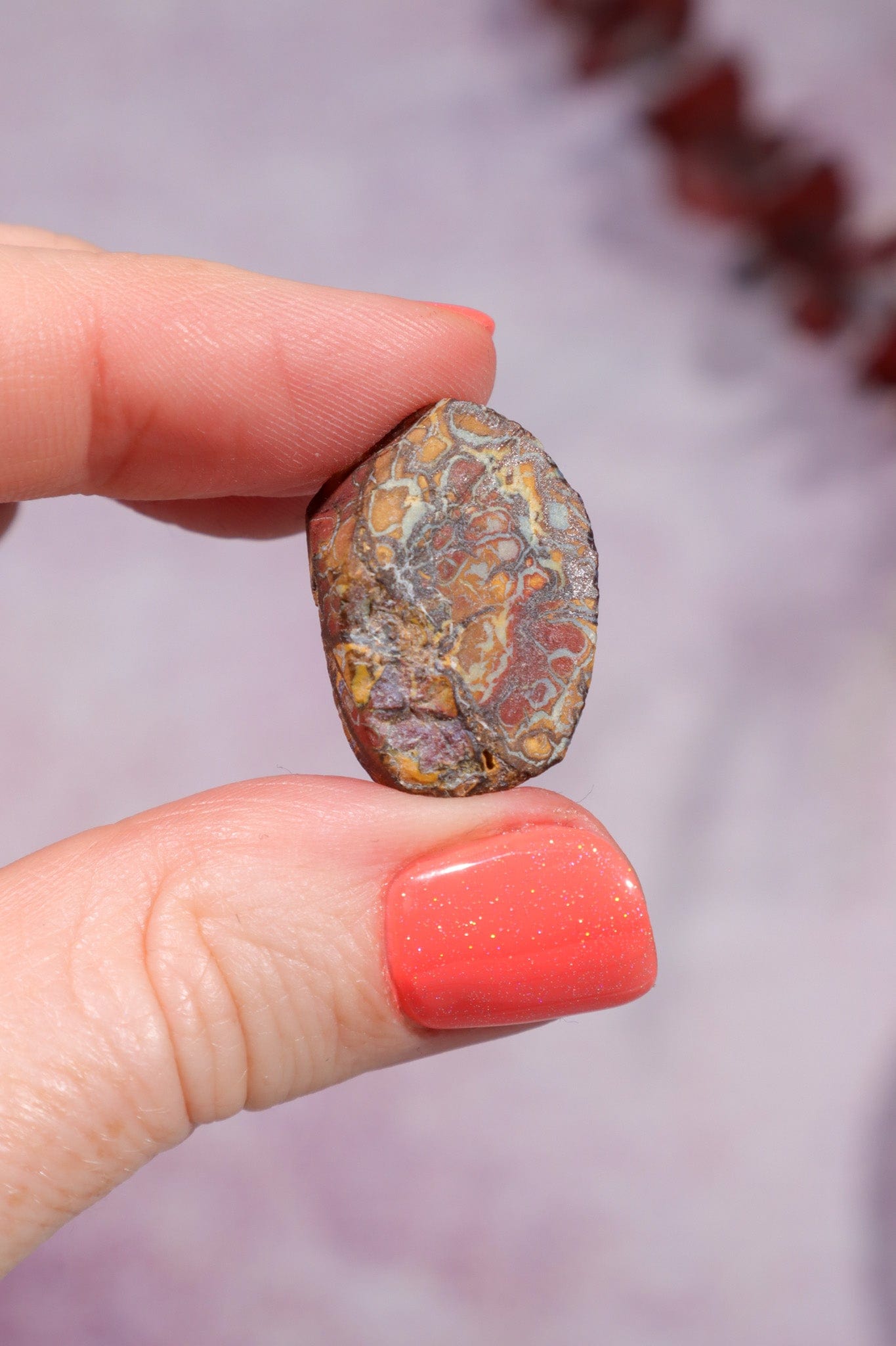 Yowah Boulder Opal Rough 5gr Rocks & Fossils Tali & Loz Crystals