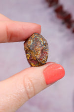 Yowah Boulder Opal Rough 5gr Rocks & Fossils Tali & Loz Crystals
