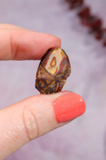 Yowah Boulder Opal Rough 5gr Rocks & Fossils Tali & Loz Crystals