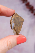 Yowah Boulder Opal Rough 7.60gr Rocks & Fossils Tali & Loz Crystals