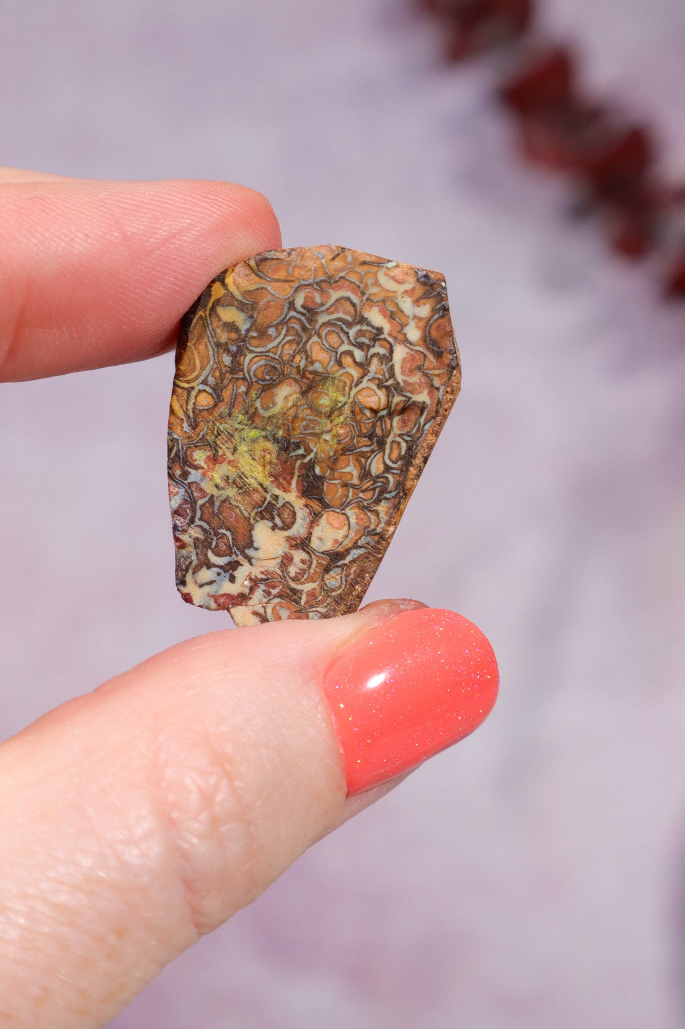 Yowah Boulder Opal Rough 7.95gr Rocks & Fossils Tali & Loz Crystals