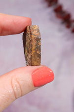 Yowah Boulder Opal Rough 7.95gr Rocks & Fossils Tali & Loz Crystals