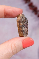 Yowah Boulder Opal Rough 7.95gr Rocks & Fossils Tali & Loz Crystals