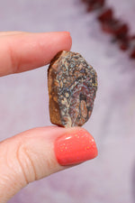 Yowah Boulder Opal Rough 7.95gr Rocks & Fossils Tali & Loz Crystals