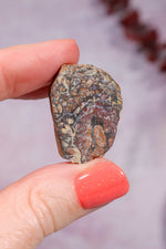 Yowah Boulder Opal Rough 7.95gr Rocks & Fossils Tali & Loz Crystals