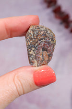Yowah Boulder Opal Rough 7.95gr Rocks & Fossils Tali & Loz Crystals