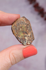 Yowah Boulder Opal Rough 7.95gr Rocks & Fossils Tali & Loz Crystals