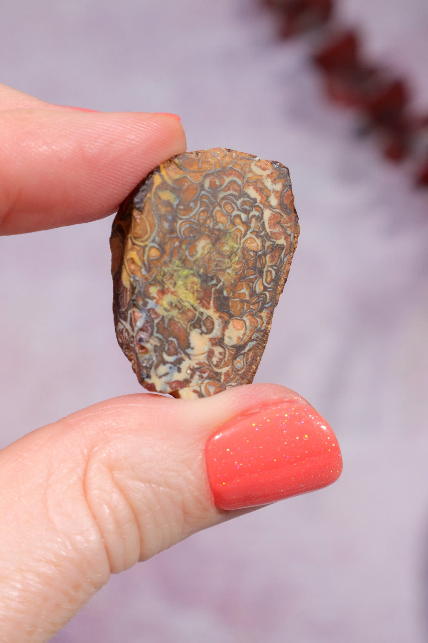 Yowah Boulder Opal Rough 7.95gr Rocks & Fossils Tali & Loz Crystals