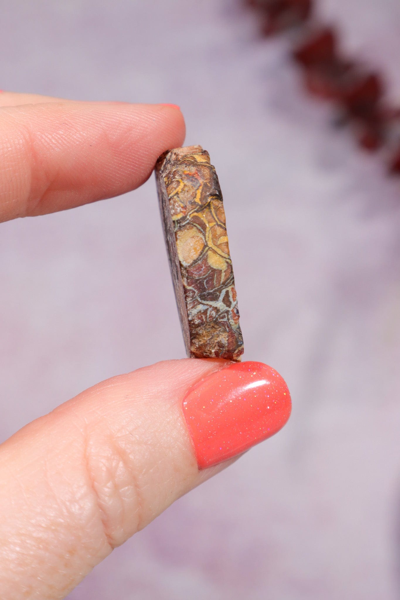 Yowah Boulder Opal Rough 7.95gr Rocks & Fossils Tali & Loz Crystals