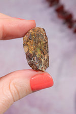Yowah Boulder Opal Rough 7.95gr Rocks & Fossils Tali & Loz Crystals