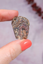 Yowah Boulder Opal Rough 7.95gr Rocks & Fossils Tali & Loz Crystals