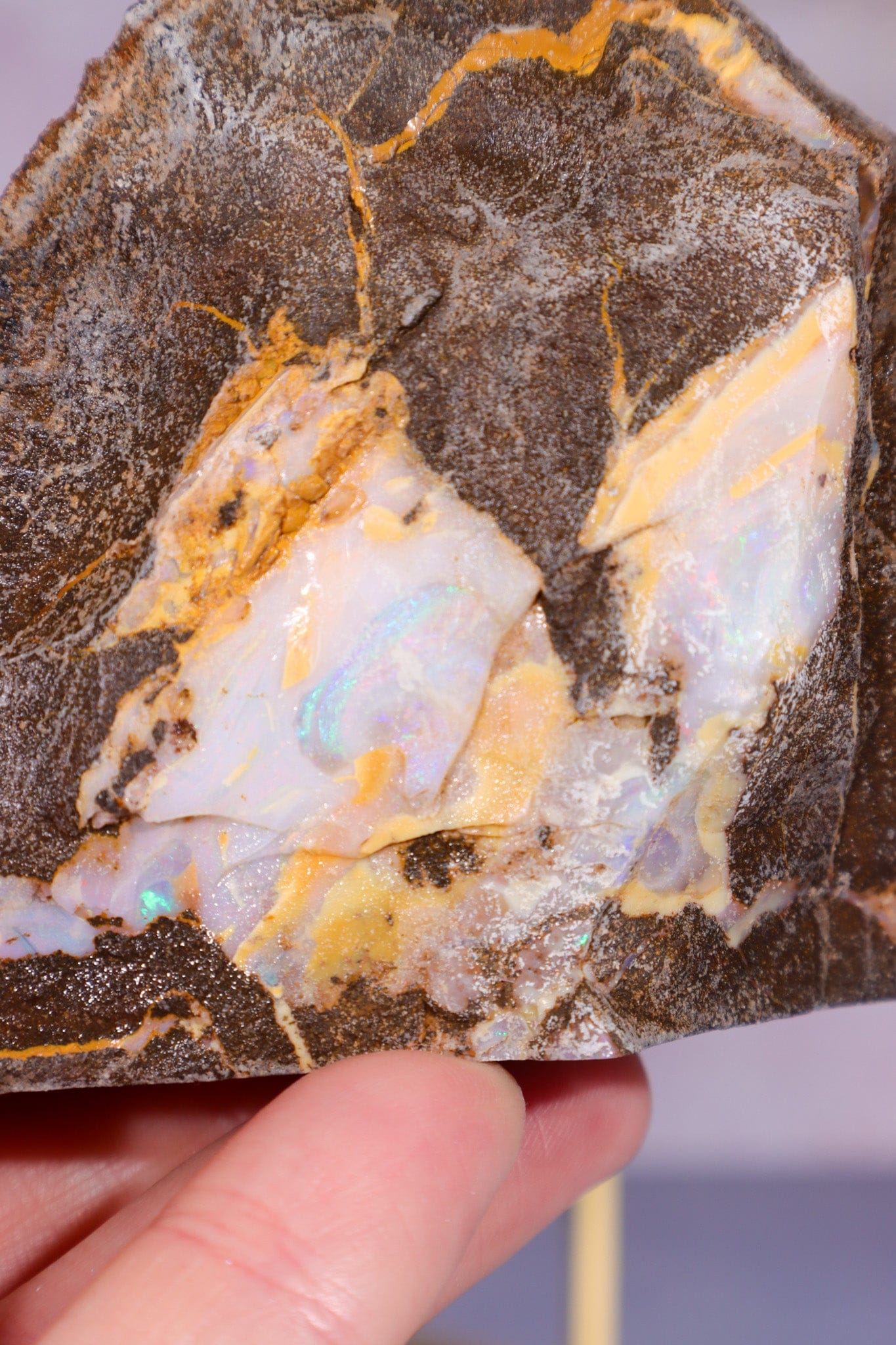 Yowah Boulder Opal Rough 7cm Minerals Tali & Loz Crystals