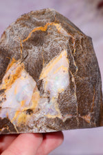 Yowah Boulder Opal Rough 7cm Minerals Tali & Loz Crystals