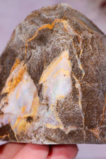 Yowah Boulder Opal Rough 7cm Minerals Tali & Loz Crystals