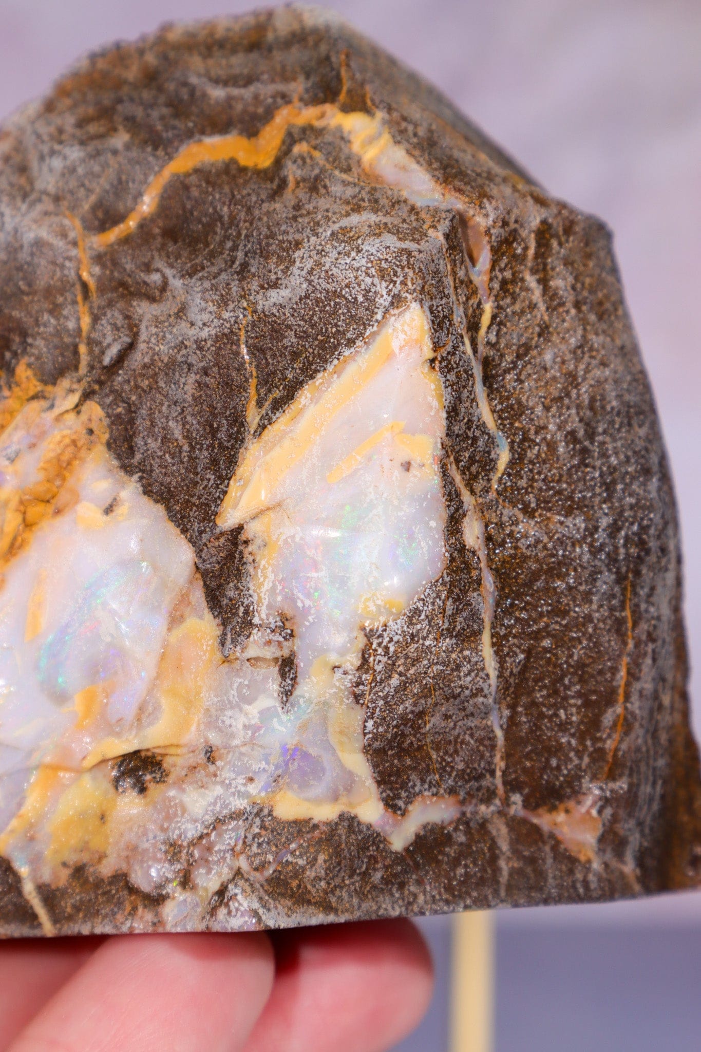 Yowah Boulder Opal Rough 7cm Minerals Tali & Loz Crystals