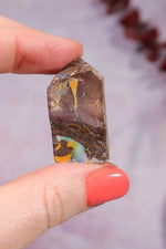 Yowah Boulder Opal Rough 9.2gr Rocks & Fossils Tali & Loz Crystals