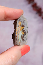 Yowah Boulder Opal Rough 9.2gr Rocks & Fossils Tali & Loz Crystals