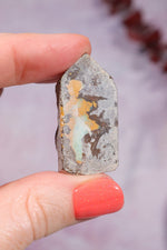 Yowah Boulder Opal Rough 9.2gr Rocks & Fossils Tali & Loz Crystals