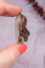 Yowah Boulder Opal Rough 9.2gr Rocks & Fossils Tali & Loz Crystals