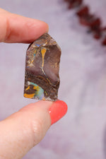 Yowah Boulder Opal Rough 9.2gr Rocks & Fossils Tali & Loz Crystals