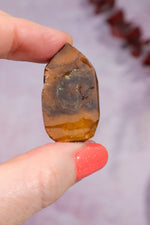 Yowah Boulder Opal Rough 9.45gr Rocks & Fossils Tali & Loz Crystals