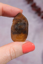 Yowah Boulder Opal Rough 9.45gr Rocks & Fossils Tali & Loz Crystals