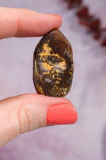 Yowah Boulder Opal Rough 9.45gr Rocks & Fossils Tali & Loz Crystals