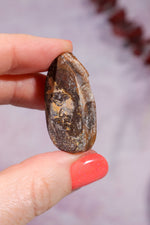 Yowah Boulder Opal Rough 9.45gr Rocks & Fossils Tali & Loz Crystals