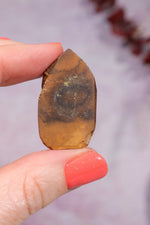 Yowah Boulder Opal Rough 9.45gr Rocks & Fossils Tali & Loz Crystals