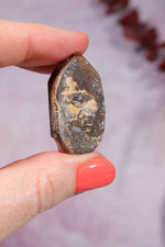 Yowah Boulder Opal Rough 9.45gr Rocks & Fossils Tali & Loz Crystals