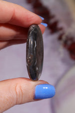 Zebra Agate Palmstones 4cm Palmstone Tali & Loz Crystals