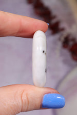 Zebra Agate Palmstones 4cm Palmstone Tali & Loz Crystals