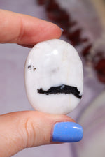 Zebra Agate Palmstones 4cm Palmstone Tali & Loz Crystals