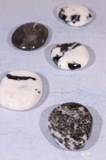Zebra Agate Palmstones 4cm Palmstone Tali & Loz Crystals