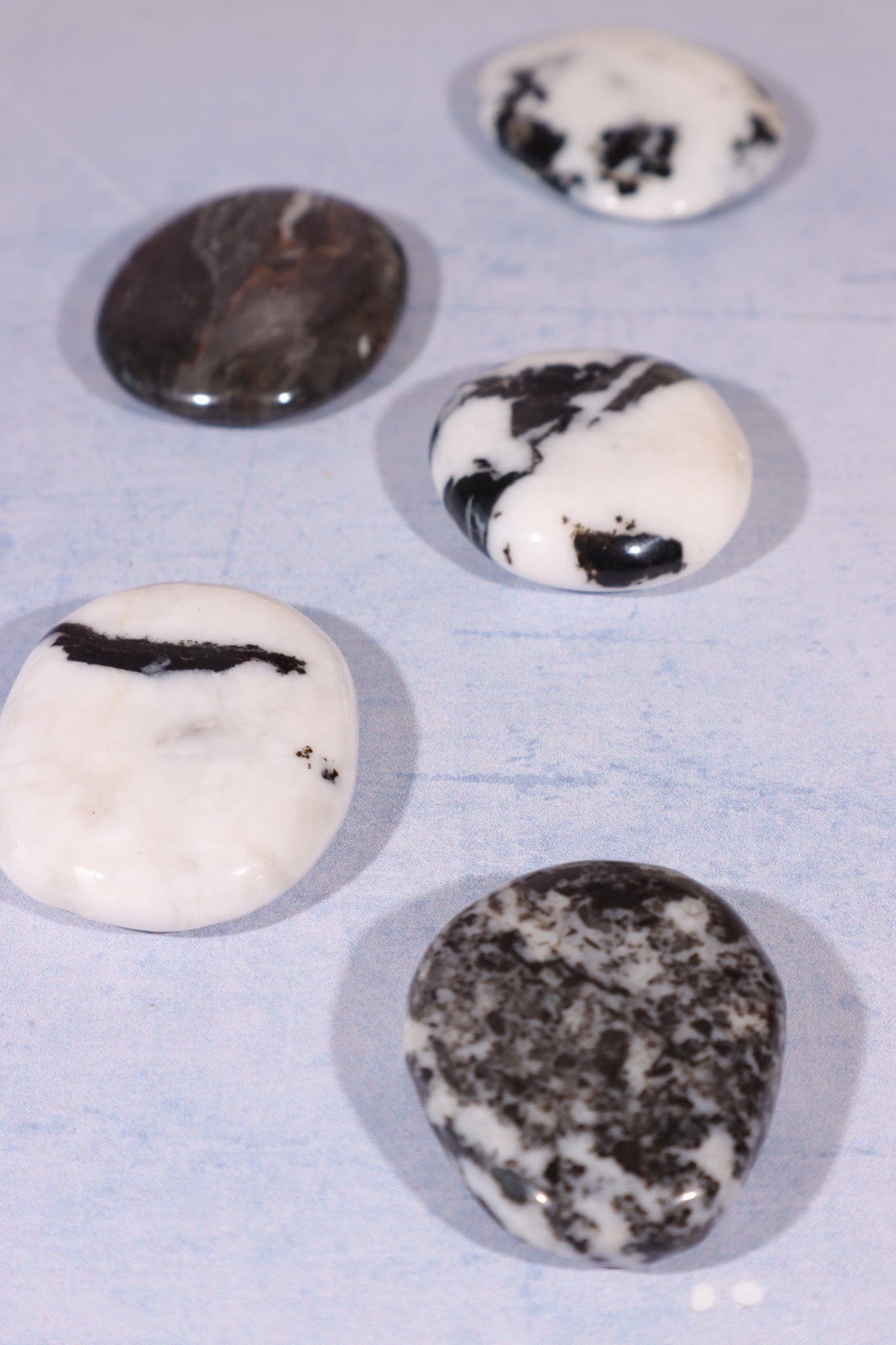 Zebra Agate Palmstones 4cm Palmstone Tali & Loz Crystals