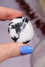 Zebra Agate Palmstones 4cm Palmstone Tali & Loz Crystals