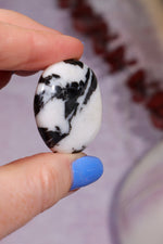 Zebra Agate Palmstones 4cm Palmstone Tali & Loz Crystals