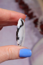 Zebra Agate Palmstones 4cm Palmstone Tali & Loz Crystals