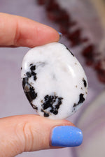 Zebra Agate Palmstones 4cm Palmstone Tali & Loz Crystals